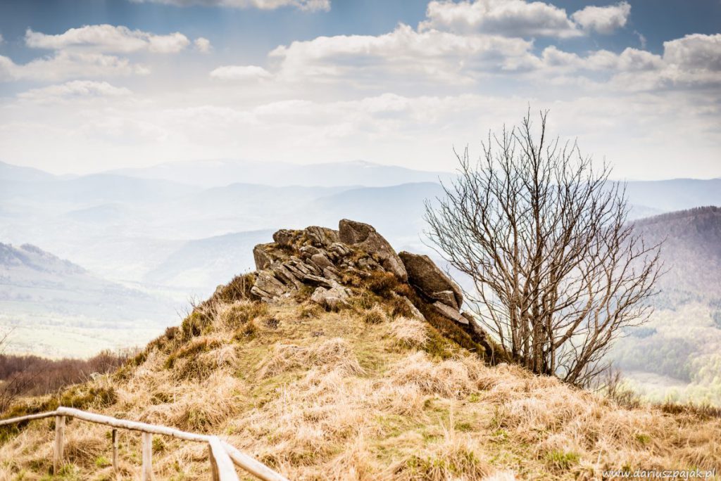 fotograf Tarnobrzeg - zdjęcia plenerowe w Bieszczadach