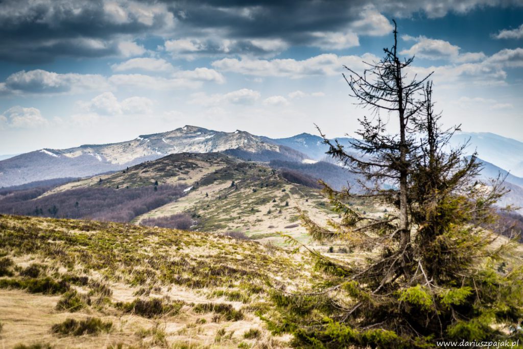fotograf Tarnobrzeg - fotografia krajobrazowa Bieszczady (7)