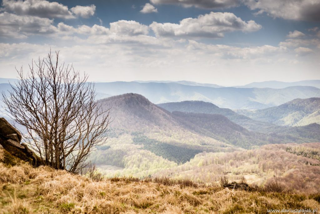 fotograf Tarnobrzeg - fotografia krajobrazowa Bieszczady (8)